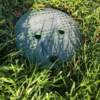 face in the grass